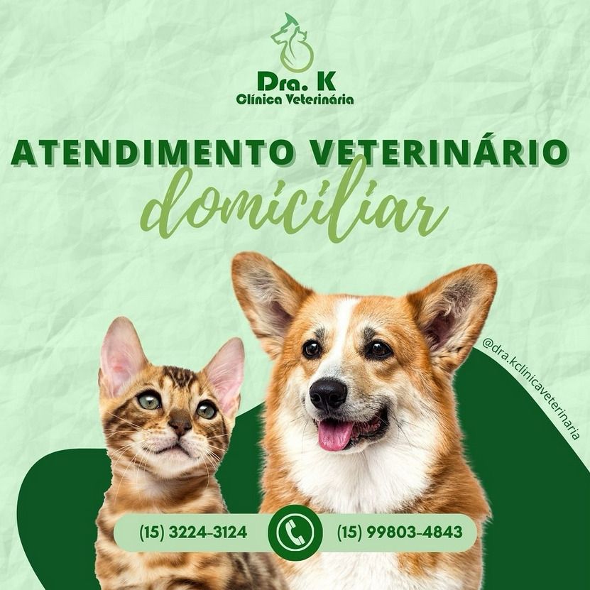 Post 1 - Orthotek Clínica Veterinária | Maringá